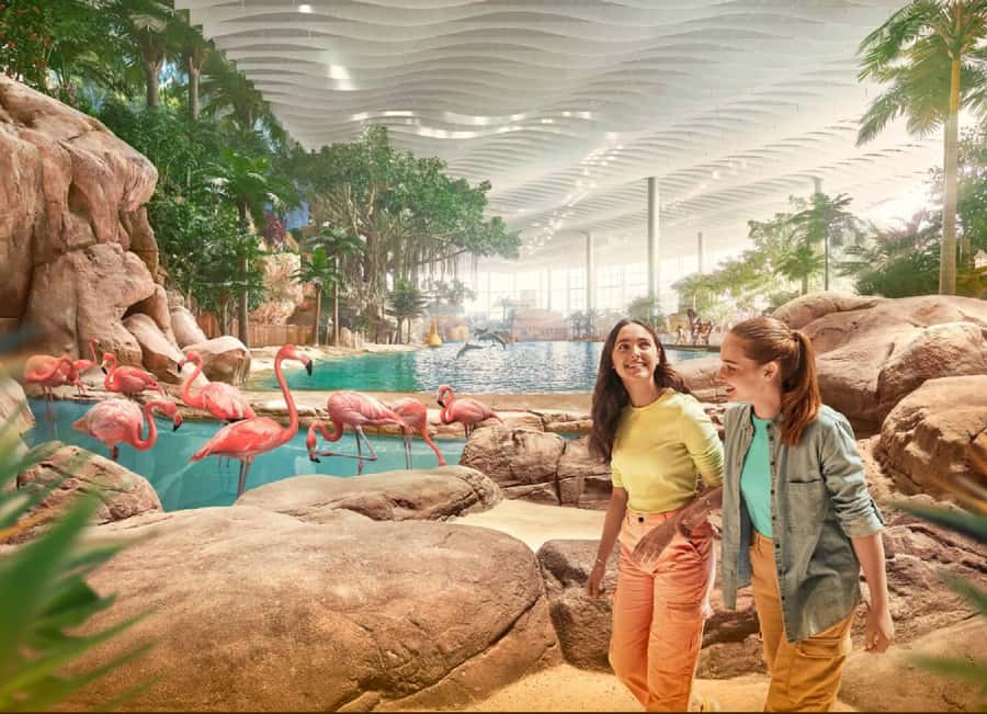 Dubai: Sheikh Zayed Mosque & SeaWorld Entry w/ Transfer - What the guide adds to a long day