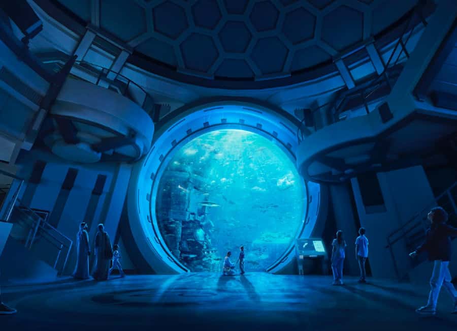 Dubai: Sheikh Zayed Mosque & SeaWorld Entry w/ Transfer - Is $156 a fair price?