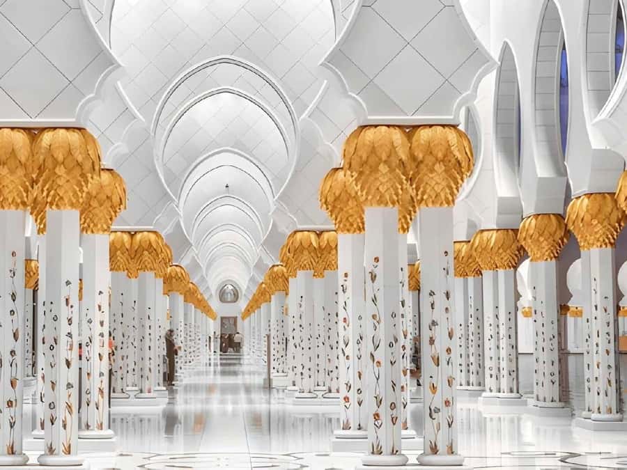 Dubai: Sheikh Zayed Mosque & Warner Bros w/ Transfer - The guide can shape the whole day