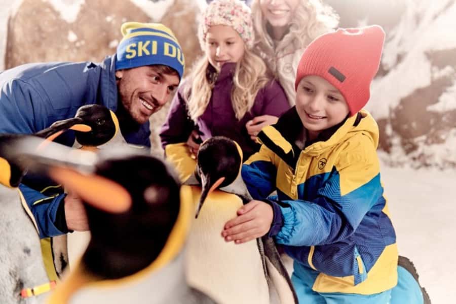 Dubai: Ski Dubai Snow Plus Pass - The Snow Cavern and interactive play