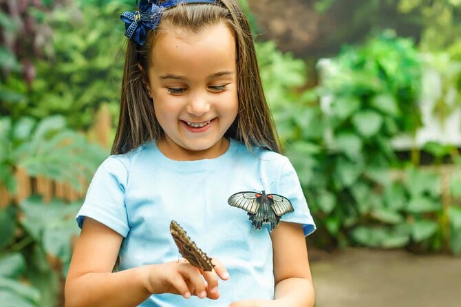 Dubai: Skip-The-Line Ticket to Butterfly Garden - Learning how a butterfly changes