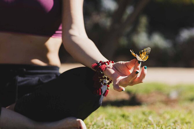 Dubai: Skip-The-Line Ticket to Butterfly Garden - Koi pond, cinema, and family breaks