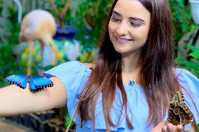 Dubai: Skip-The-Line Ticket to Butterfly Garden - Photography and close encounters