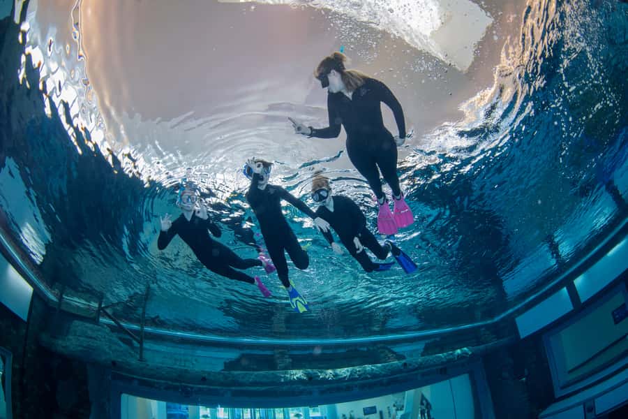 Dubai: Snorkeling at Deep Dive World's Deepest Pool - Key points to know before booking