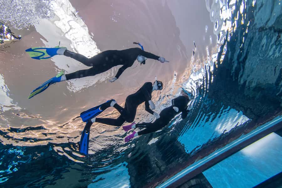Dubai: Snorkeling at Deep Dive World's Deepest Pool - Why the small group matters