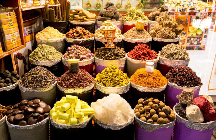 Dubai Stopover Tour & Transit Tours - What the private format is really worth