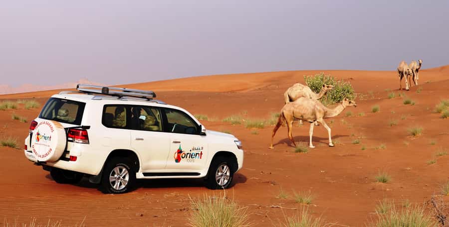 Dubai Sunrise Desert Camel Trek with Breakfast - Key points to know before booking