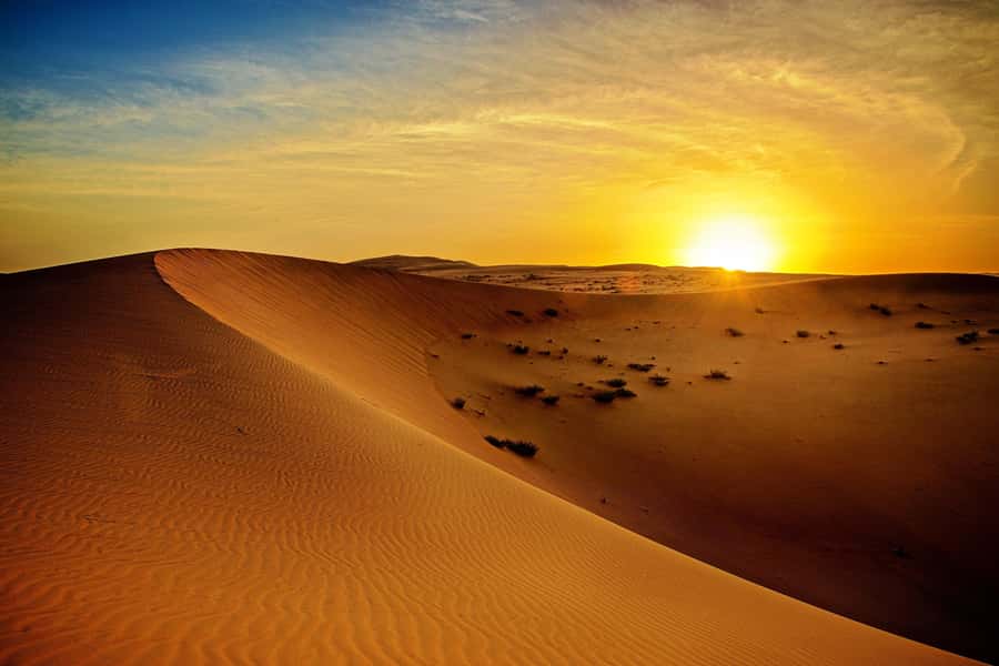 Dubai: Sunrise Desert Jeep Safari with Wildlife Experience - Why the sunrise is worth the early alarm