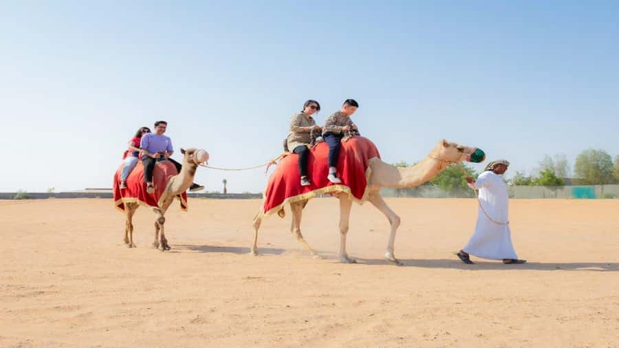 Dubai: Sunrise Hot Air Balloon Flight, Breakfast, Camel Ride - A short camel ride, not a full desert trek