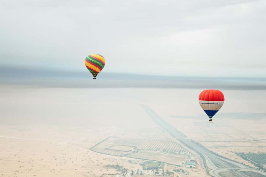 Dubai: Sunrise Hot Air Balloon Tour Over the Desert - Wildlife below: what you might spot