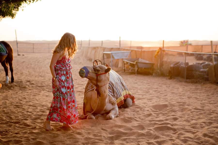 Dubai: Sunrise Hot Air Balloon Tour with E-Certificate - Key points to know before booking