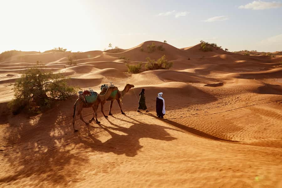 Dubai: Sunrise Hot Air Balloon Tour with E-Certificate - The sunrise flight above the Arabian Desert