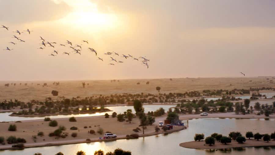 Dubai: Sunrise Hot Air Balloon Tour with E-Certificate - Is $272 a fair price?