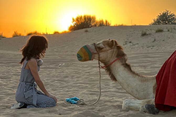 Dubai Sunset Red Dune Desert Safari, Sandboarding and Camel Ride - What $40 buys you