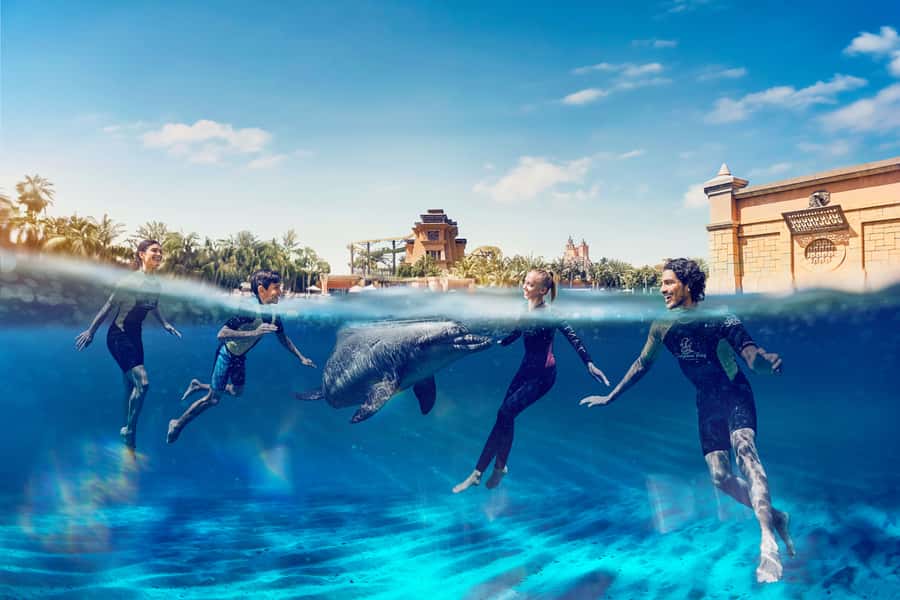 Dubai: Swim with Dolphins at Atlantis Waterpark - Thirty minutes in three-meter-deep water