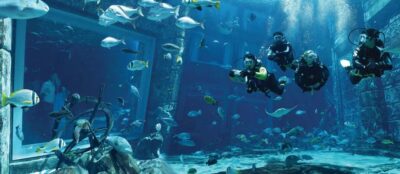 The Lost Chambers Aquarium Atlantis Diving Experience