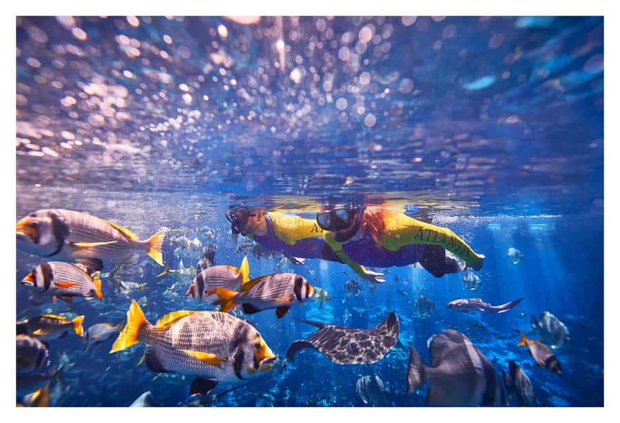 Dubai: The Lost Chambers Aquarium Snorkeling Experience - What the Lost Chambers setting adds