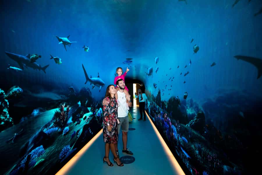 Dubai: The View At The Palm Observatory Entry Ticket - Choosing the right time of day