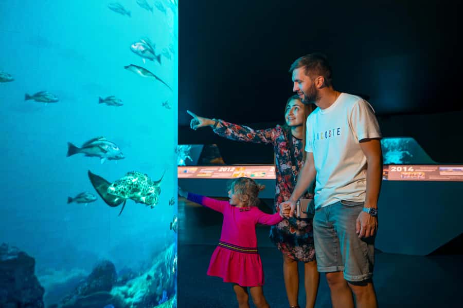 Dubai: The View At The Palm Observatory Entry Ticket - General admission or fast-track entry?