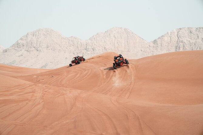Dune Buggy Experience and Dinner at Mleiha Archaeological Center - Sandboarding for beginners and confident riders
