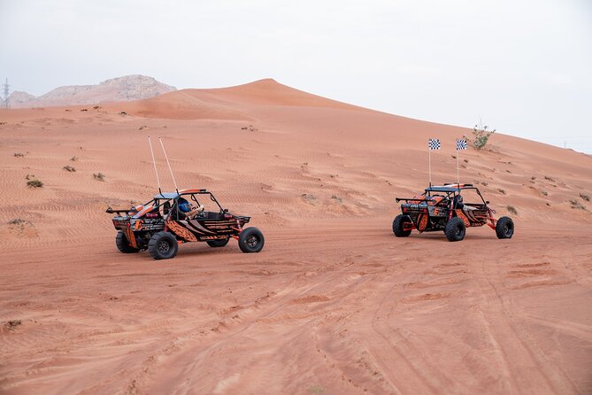 Dune Buggy Experience & Fossil Discovery in Mleiha National Park - Safety, equipment, and comfort on the buggy