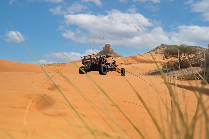 Dune Buggy & Private Dinner in the Dunes in Mleiha National Park - Who will enjoy this most