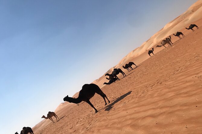 Empty Quarter Sunset Desert Safari - Starting at 10:30 AM from Abu Dhabi