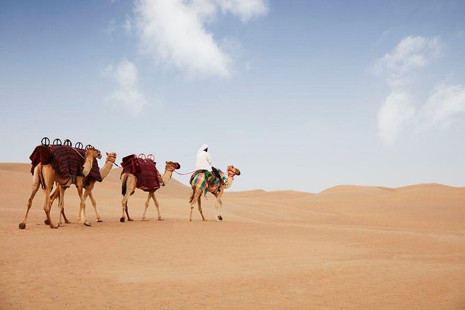 Evening Abu Dhabi Desert Safari & BBQ Dinner- Standard Tour - Is $99 good value?