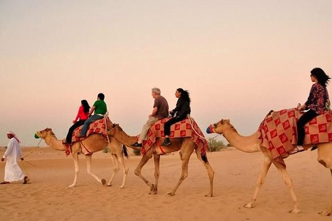 Evening Desert Adventure: Quad Biking, Sandboarding & Camel Ride - Why this Dubai safari packs in so much