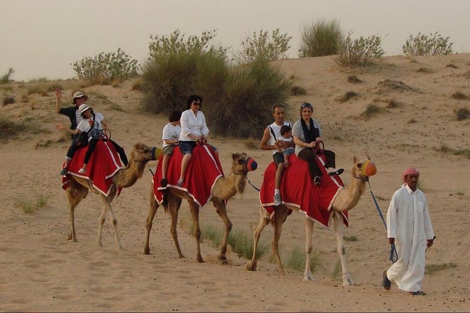 Evening Desert Safari Abu Dhabi with Dinner - From Abu Dhabi hotels to open desert