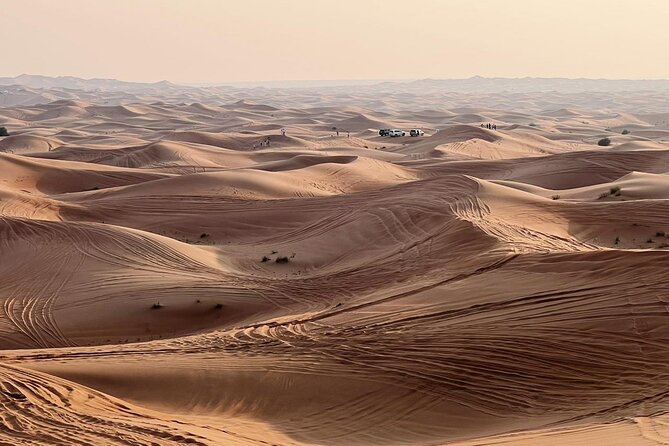 Evening Desert Safari Abu Dhabi with Dinner - Sunset over the dunes before dinner