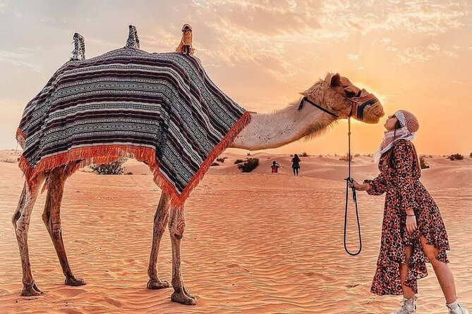 Evening Desert Safari & BBQ With Live Shows,Camel Ride,Falcon pic - Three shows keep the evening moving