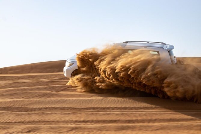 Evening Desert Safari & BBQ With Live Shows,Camel Ride,Falcon pic - Who will get the most from this $49.90 tour