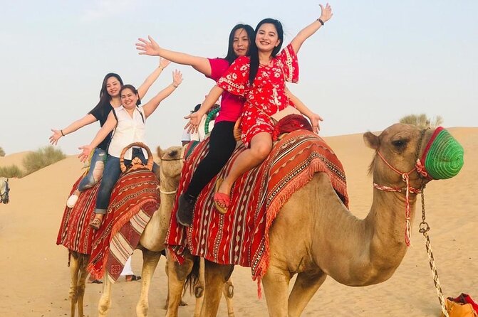 Evening Desert Safari Camel Ride Dinner Live Shows in Abu Dhabi - BBQ dinner under the stars