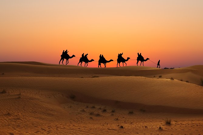 Evening Desert Safari in Dubai, Sandboard & BBQ Dinner - What the $66.70 price really covers