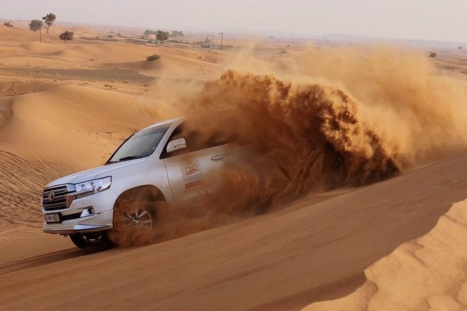 Evening Dubai Safari with BBQ, Dance Shows & Quad Biking optional - Big Red and the main dune-bashing run