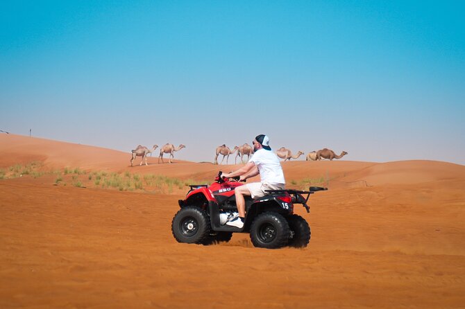 Evening Quad Bike, Desert Safari in Dubai , BBQ Dinner and Shows - From Dubai’s towers to Lahbab’s red dunes