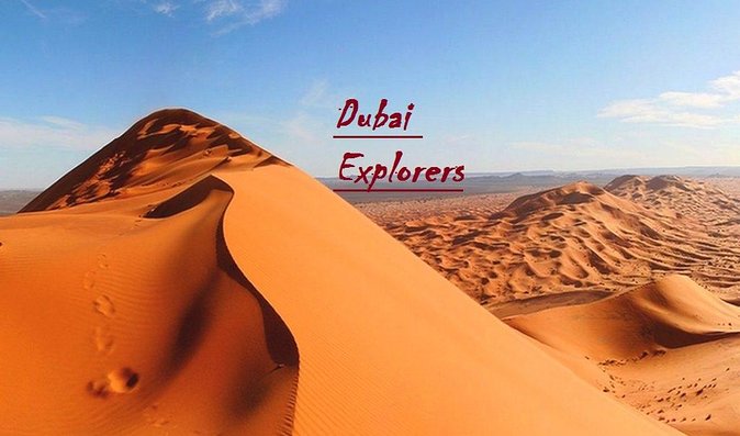 Exclusive Private Morning Desert Safari Adventure in Dubai - Photo stops, falcon pictures, and desert views