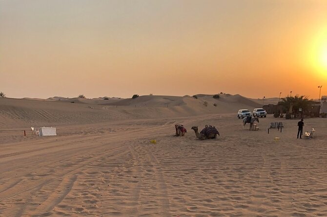 Exhilarating Desert Safari, Including BBQ Dinner from Dubai - Timing, delays, and the return to Dubai