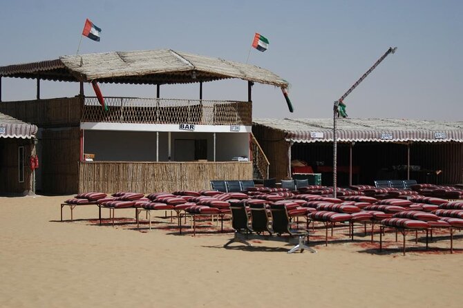 Exhilarating Desert Safari, Including BBQ Dinner from Dubai - Holding tight during the 4x4 dune bash