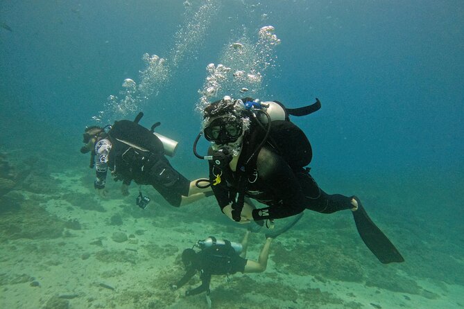From Abu Dhabi: 2 Dives for Certified Divers in Fujairah - Key points to know before booking