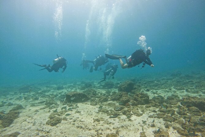 From Abu Dhabi: 2 Dives for Certified Divers in Fujairah - Leaving Abu Dhabi at 6:00 am