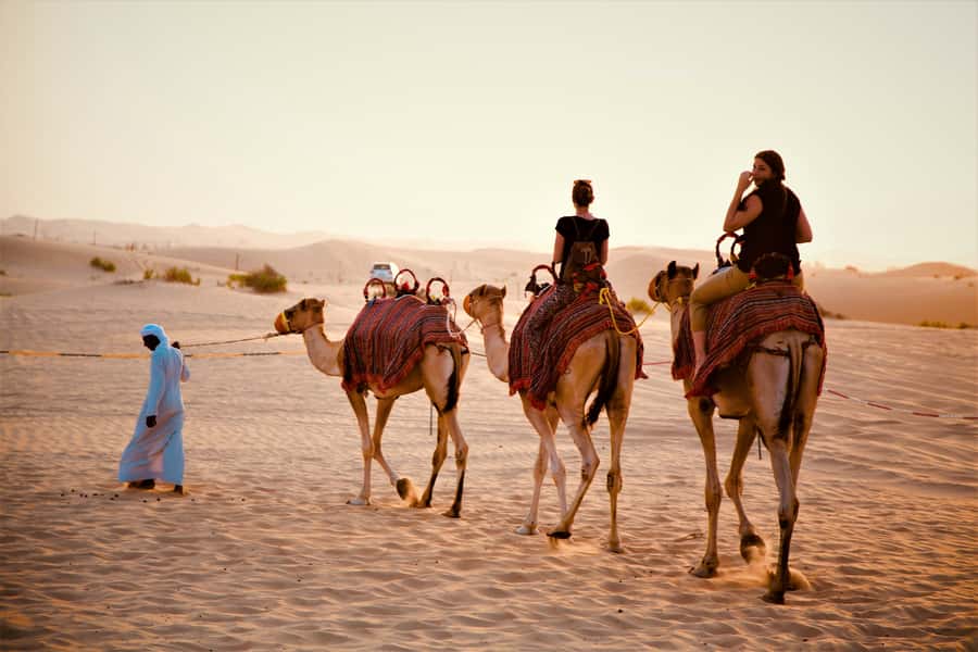 From Abu Dhabi: 4-Hour Morning Desert Excursion - Why a morning safari works so well