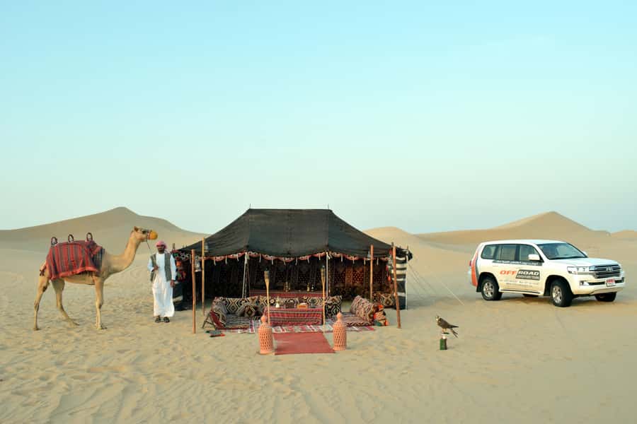 From Abu Dhabi: 4-Hour Morning Desert Excursion - Morning pickup from Abu Dhabi