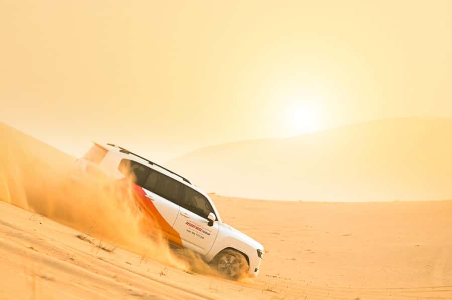 From Abu Dhabi: Dune Bashing Desert Safari - Forty Minutes of Dune Bashing