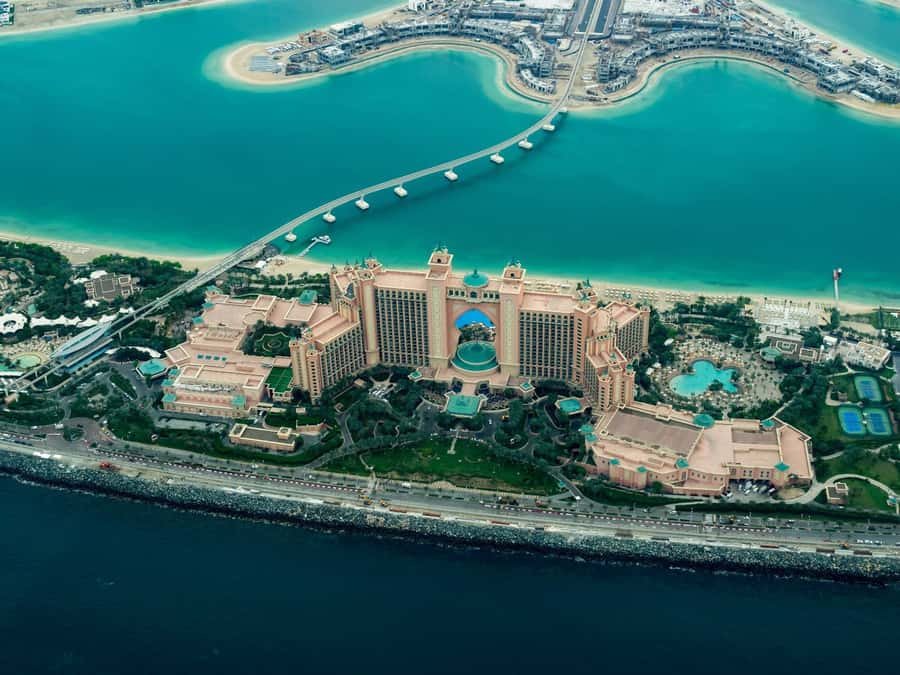 From Abu Dhabi: Explore Dubai with Optional Lunch - Key points to know before booking