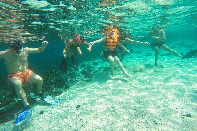 From Abu Dhabi: Snorkeling with turtles in Fujairah with BBQ - What you may see beneath the surface