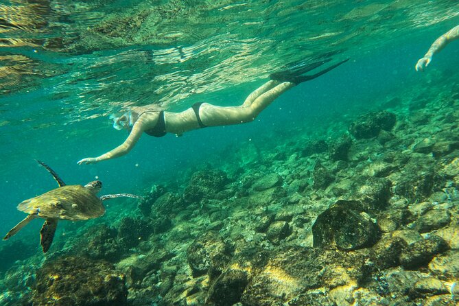 From Abu Dhabi: Snorkeling with turtles in Fujairah with BBQ - Khorfakkan Waterfall and amphitheater views