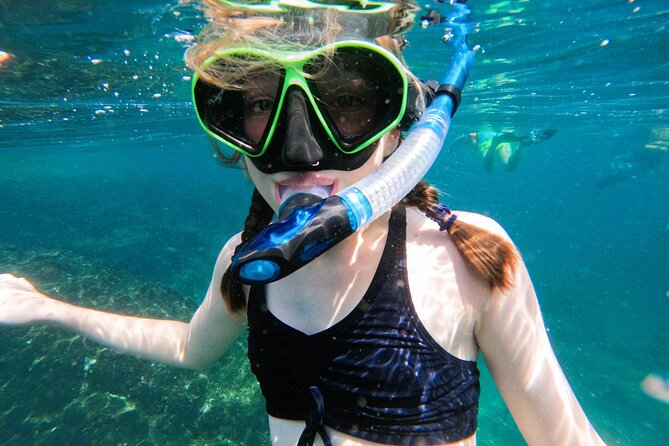 From Abu Dhabi: Snorkeling with turtles in Fujairah with BBQ - Is $195.09 a fair price?