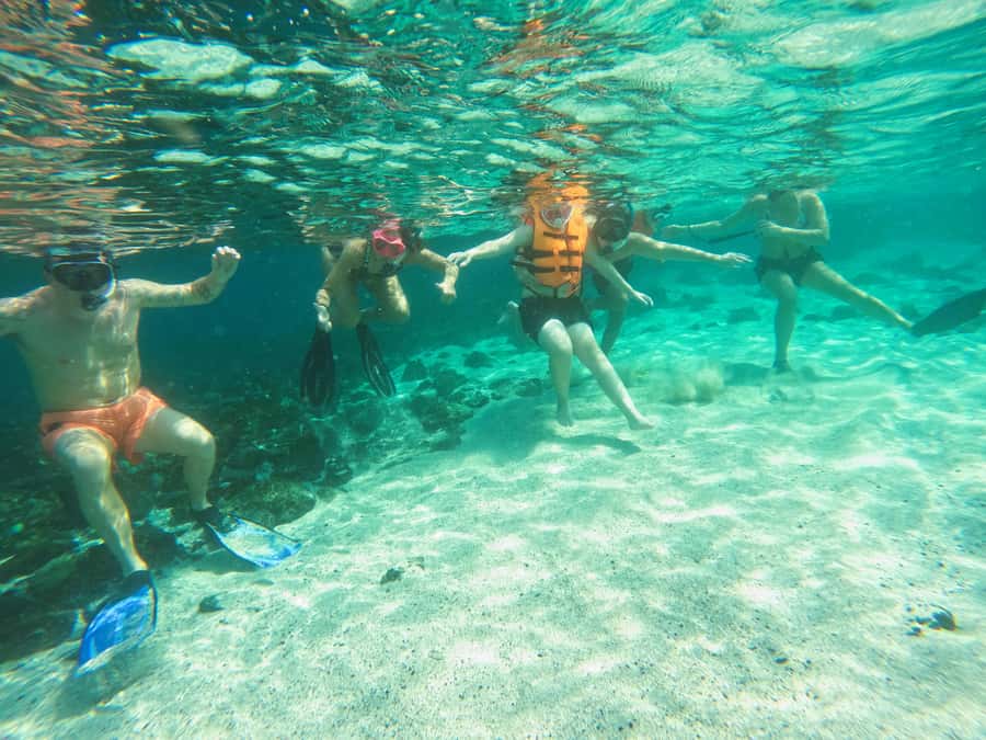 From Abu Dhabi: Snorkeling with Turtles in Fujairah with BBQ - Who should book this excursion